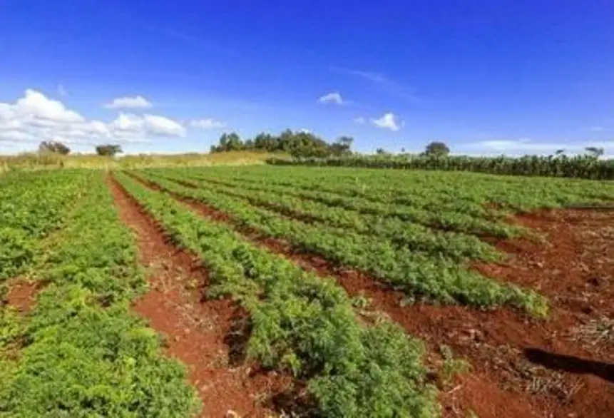 Justiça Federal rejeita ação sobre área rural em Porto Velho e garante direito de permanência a famílias
