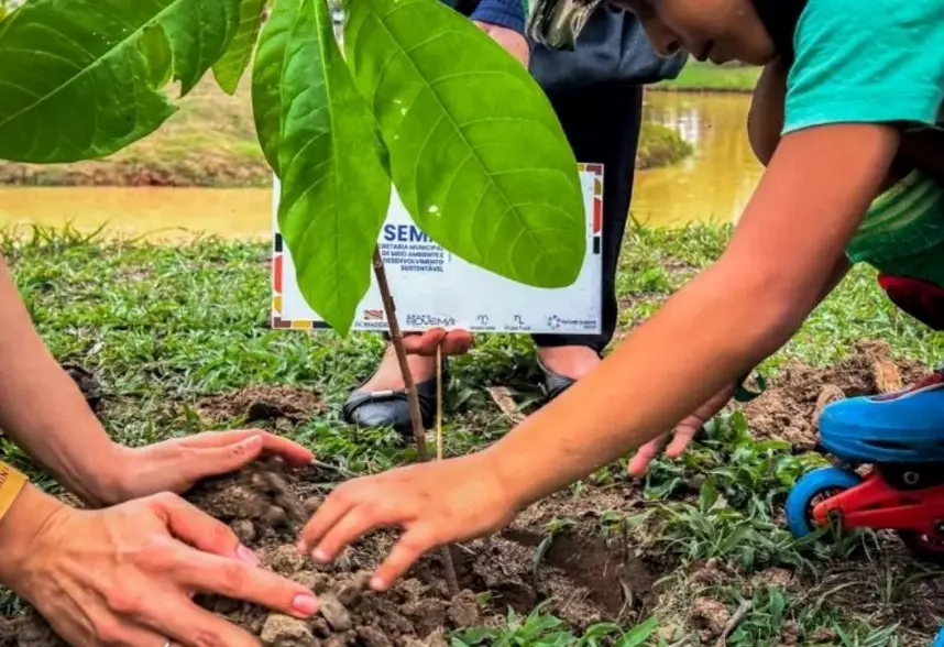 Comunitários de Porto Velho celebram Dia da Árvore com plantio e educação ambiental