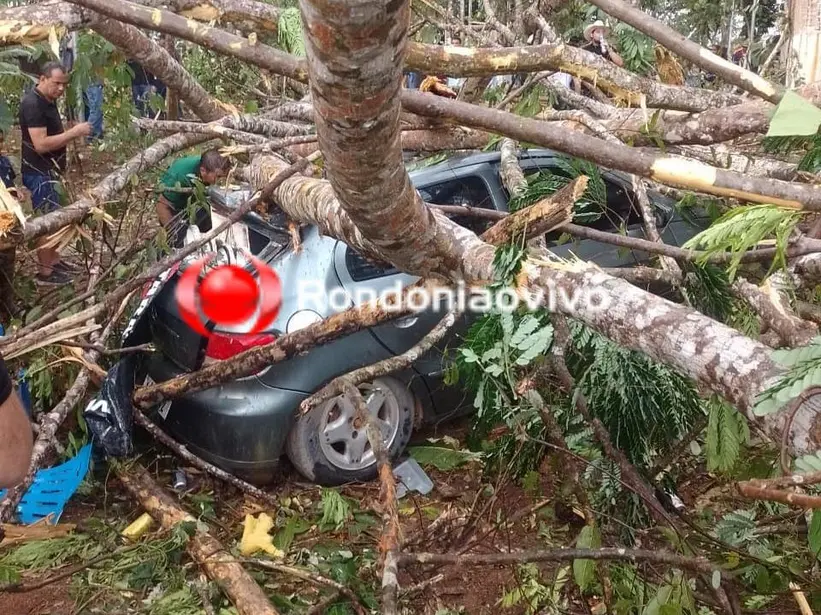 Temporal causa queda de árvore e deixa dois feridos em Ministro Andreazza