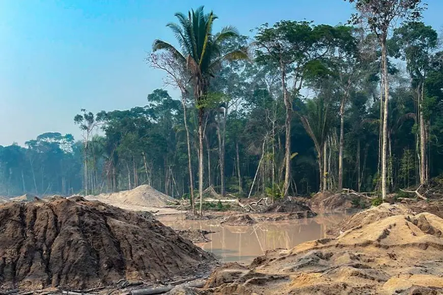 Lula assina decreto que autoriza concessão florestal no Parque Nacional dos Campos Amazônicos
