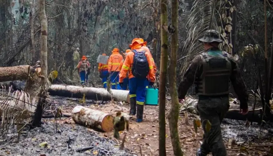 Amazônia Legal apresenta falhas graves na transparência de dados ambientais