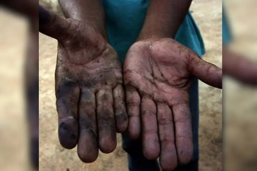 Lista Suja do MTE inclui 159 empregadores com trabalho análogo à escravidão