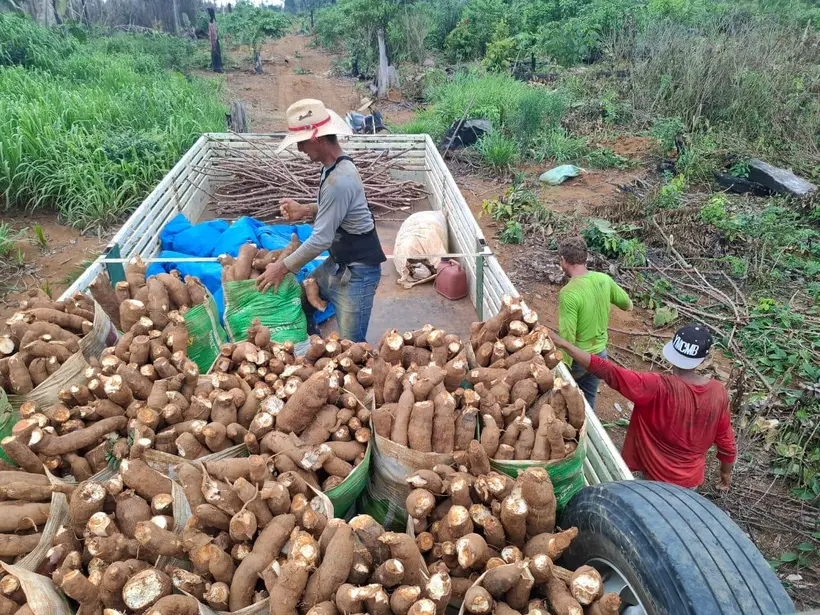 Produção rural de Porto Velho impulsiona economia e cultura local em 2024