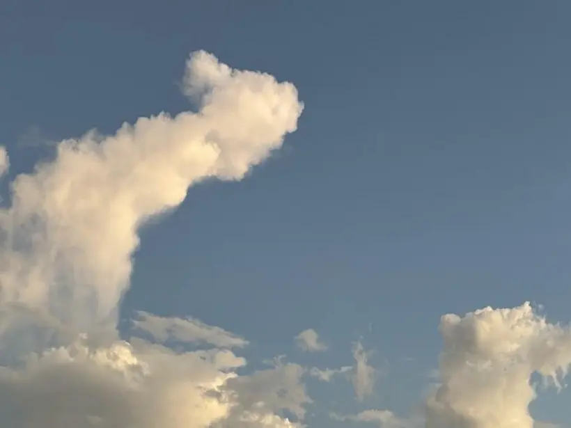 Previsão do tempo em Rondônia indica calor com possibilidade de chuva isolada