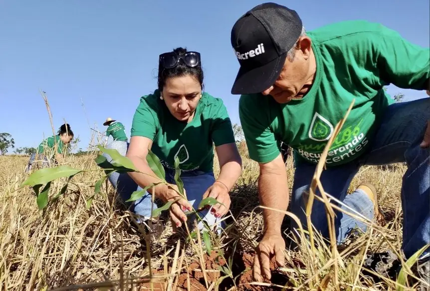 Sicredi apresenta iniciativas sustentáveis na COP 30 em Belém do Pará