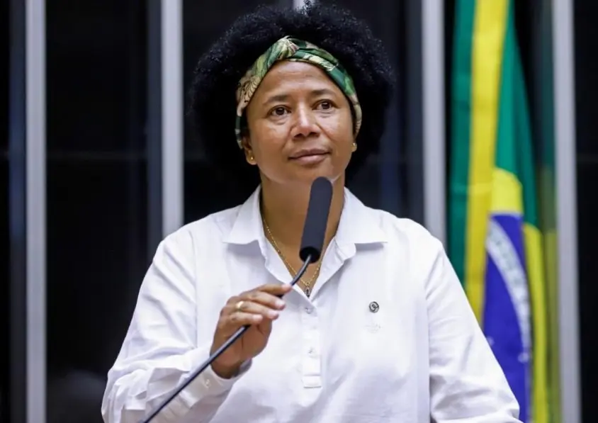 Audiência pública discute privatização da hidrovia do Madeira na Câmara