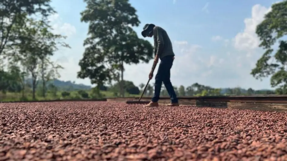 Nova União recebe R$ 67 mil em equipamentos agrícolas para agricultores locais