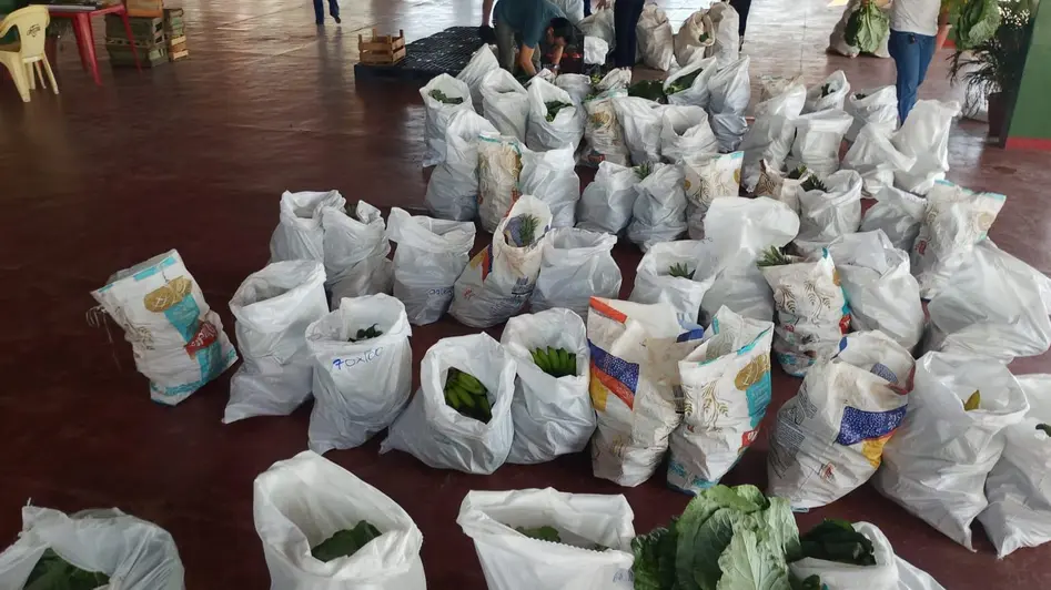 Porto Velho recebe doação de frutas e verduras para unidades de acolhimento