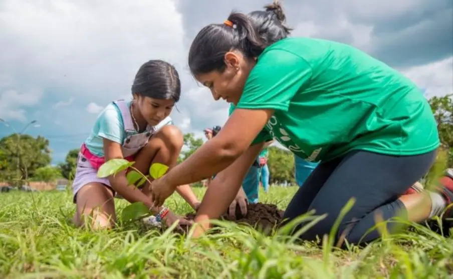 SEMA de Porto Velho encerra 2025 com avanços na gestão ambiental e digitalização