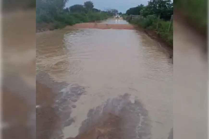 Dra Taissa Sousa solicita revitalização da Linha 23B em indicação parlamentar