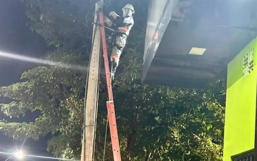 Energisa reforça equipes e manutenção para garantir energia segura no Carnaval