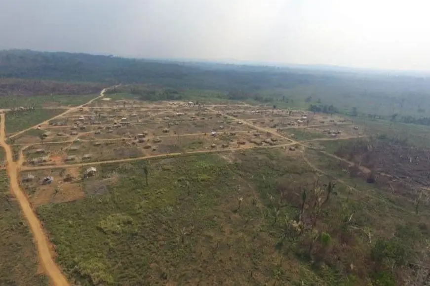 MPF pede anulação da redução da Floresta Nacional Bom Futuro em Rondônia