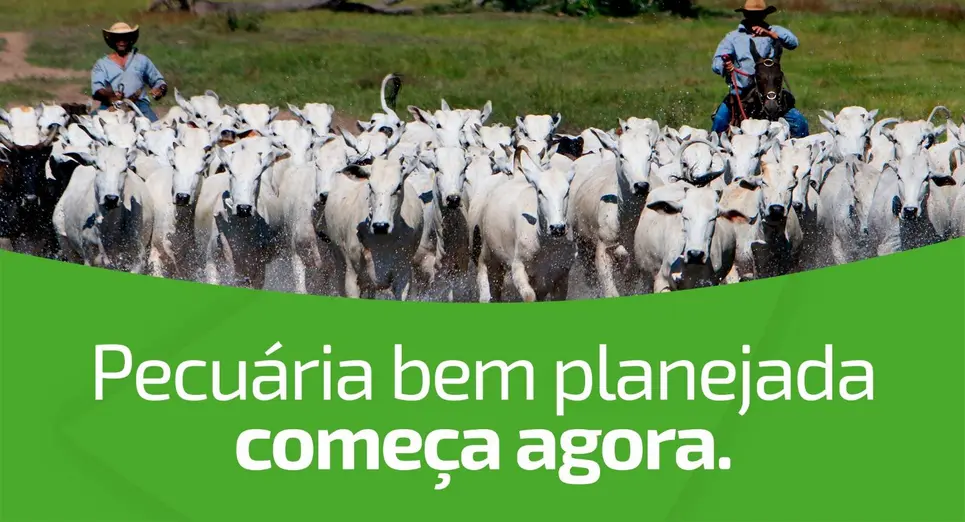 Sicredi oferece soluções financeiras para pecuária no início de 2026
