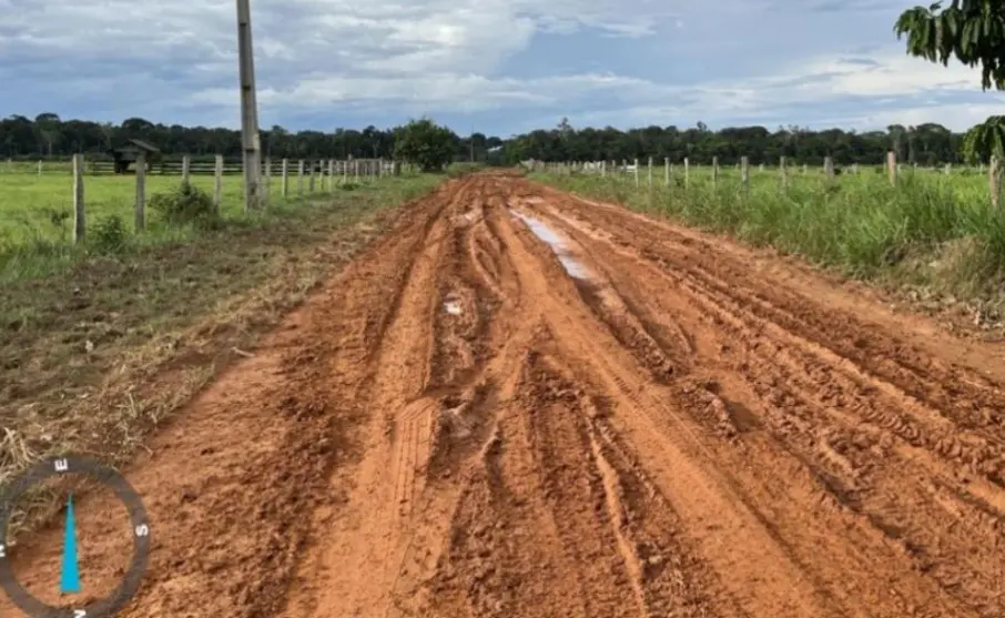 Vereadora solicita recuperação urgente do Ramal do Índio na BR-319