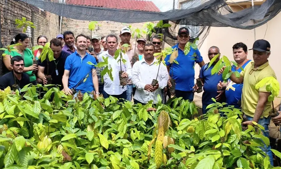 Deputado Alan Queiroz entrega 3 mil mudas de cacau a Buritis