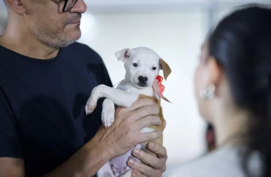 EmpreendePet em Porto Velho oferece adotacao de 200 pets