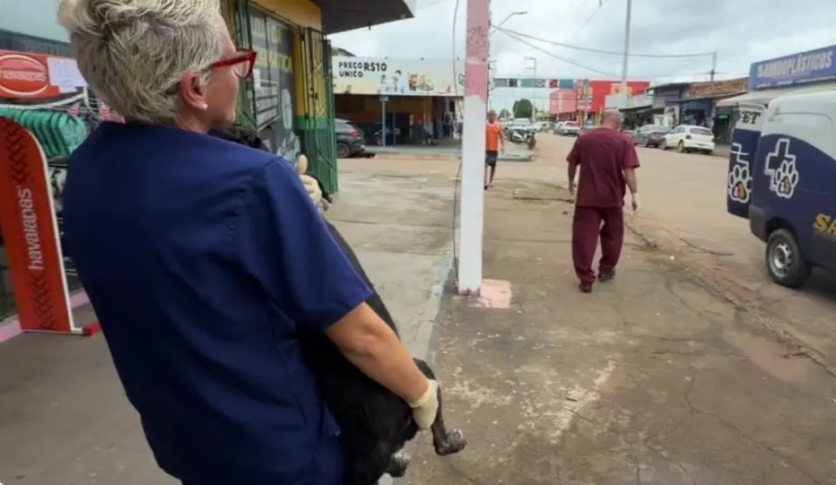 Prefeitura resgata cachorro Negão abandonado em Porto Velho