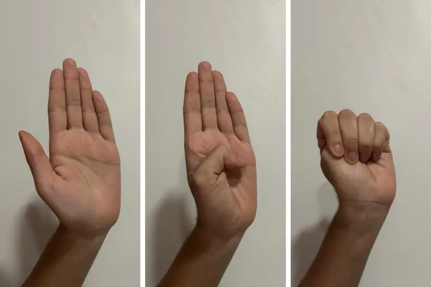 Governo de Rondônia institui Protocolo Estadual Mulher Protegida