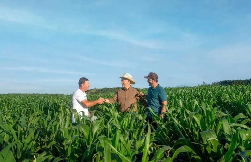 Sicredi libera 48 bilhoes em credito ao agro e amplia carteira