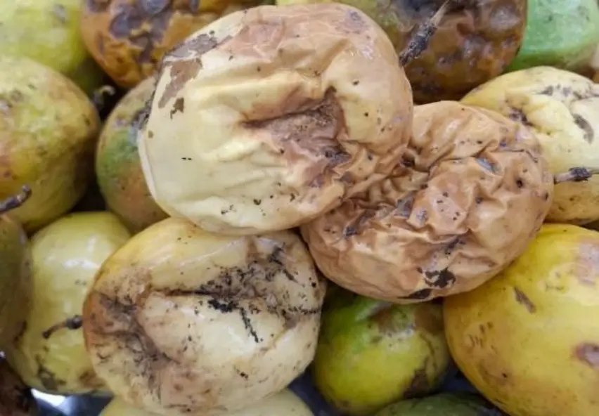 Consumidores de Porto Velho denunciam preços altos e produtos ruins