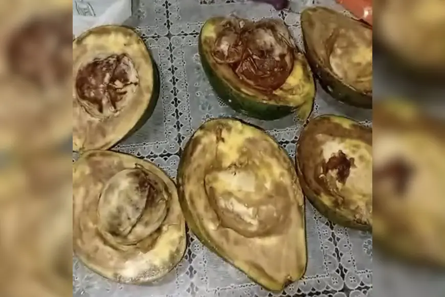 Moradores de Porto Velho relatam compra de frutas estragadas