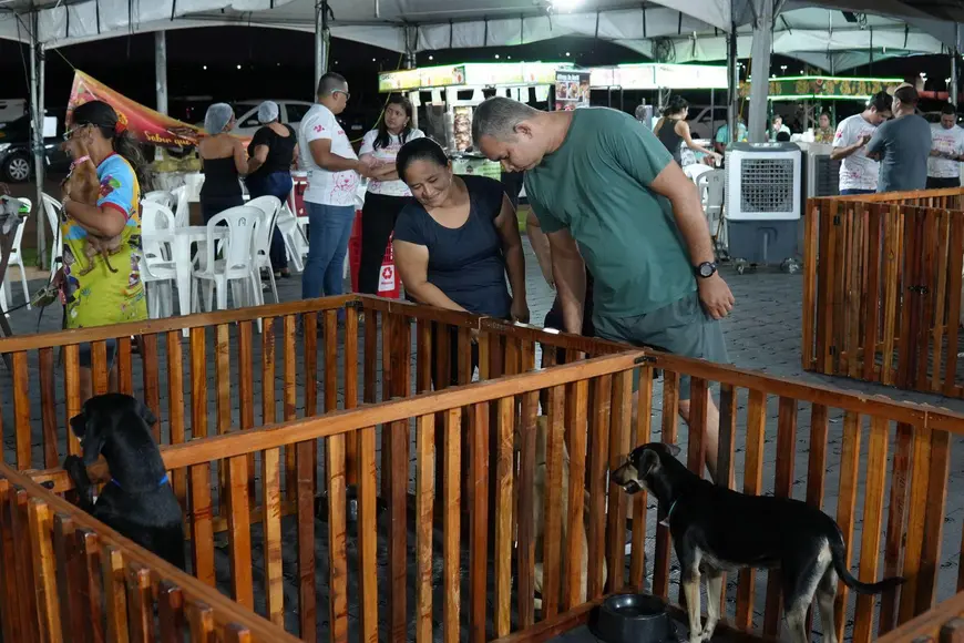Empreende Pet promove feira adoção e gastronomia em Porto Velho