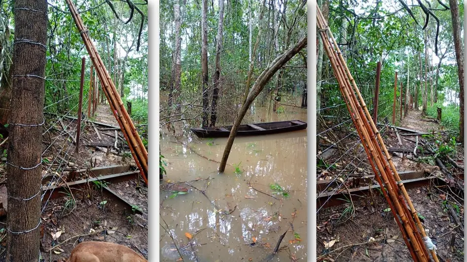 Nova invasão ocupa área tombada da EFMM em Porto Velho