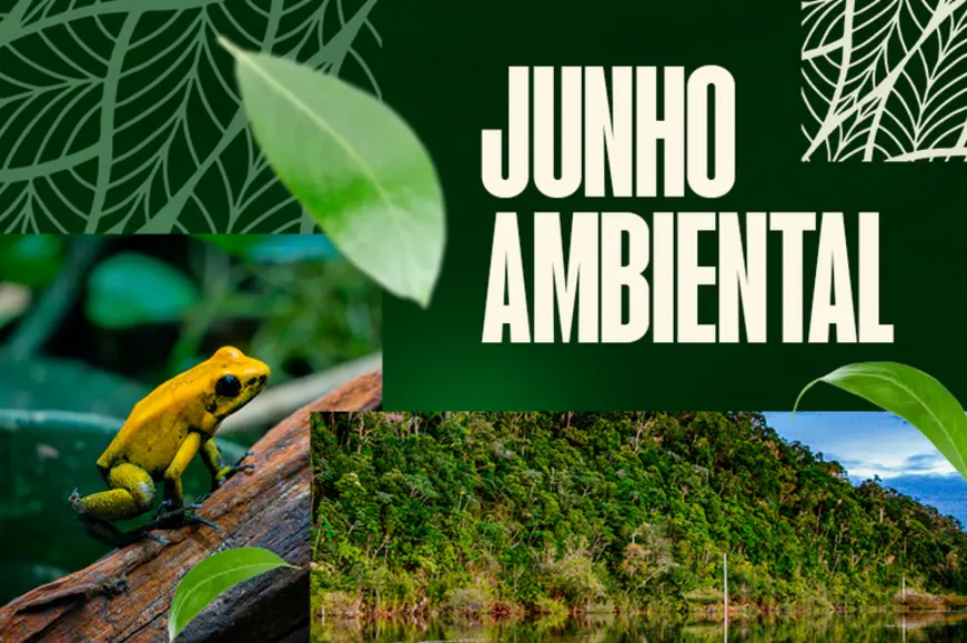 MPF pede suspensão de licenças por uso de mercúrio na Amazônia