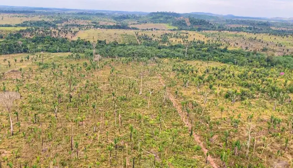 MPRO ajuiza ação por desmatamento de 1200 hectares em Machadinho do Oeste