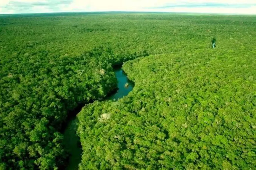 Parque Povos Indígenas Rio Tanaru acirra debate no Sul de Rondônia