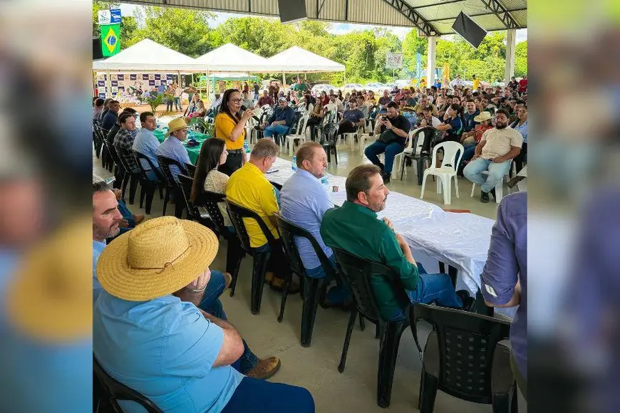 Deputada Donadon destina 100 mil mudas de cafe a Chupinguaia